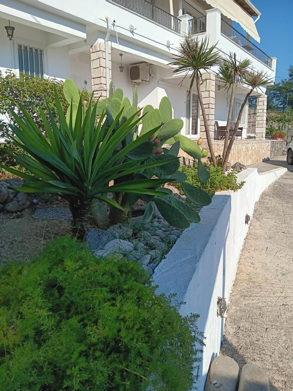 Appartement Bougainvillea Corfu  Kültér fotó