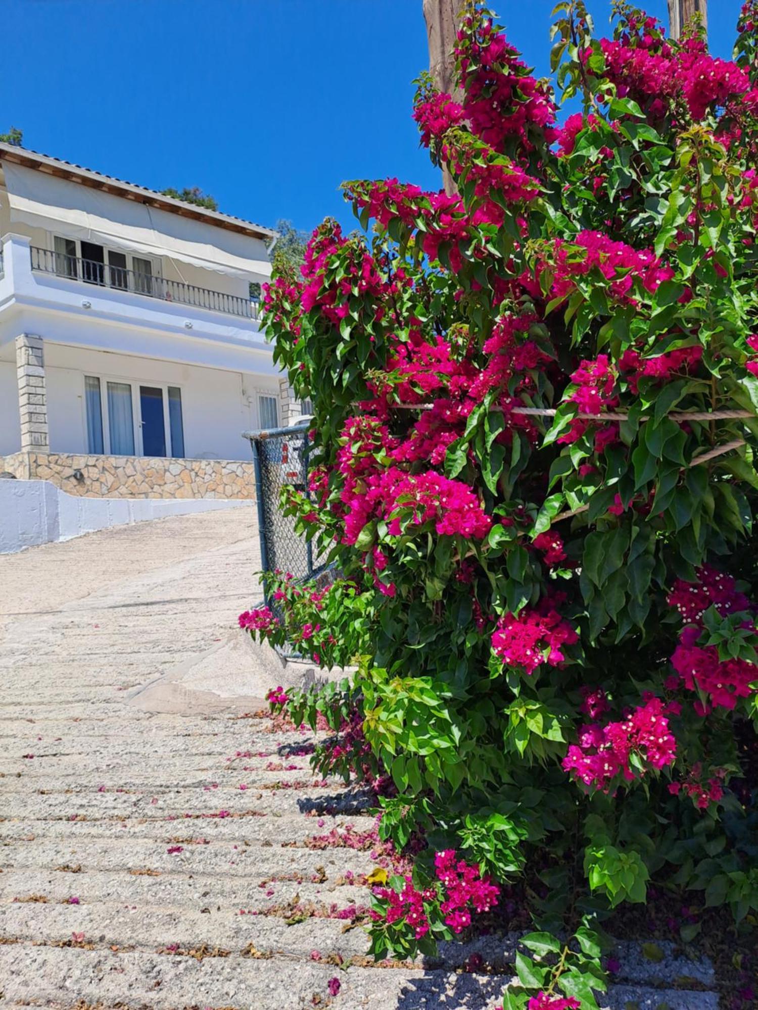 Appartement Bougainvillea Corfu  Kültér fotó