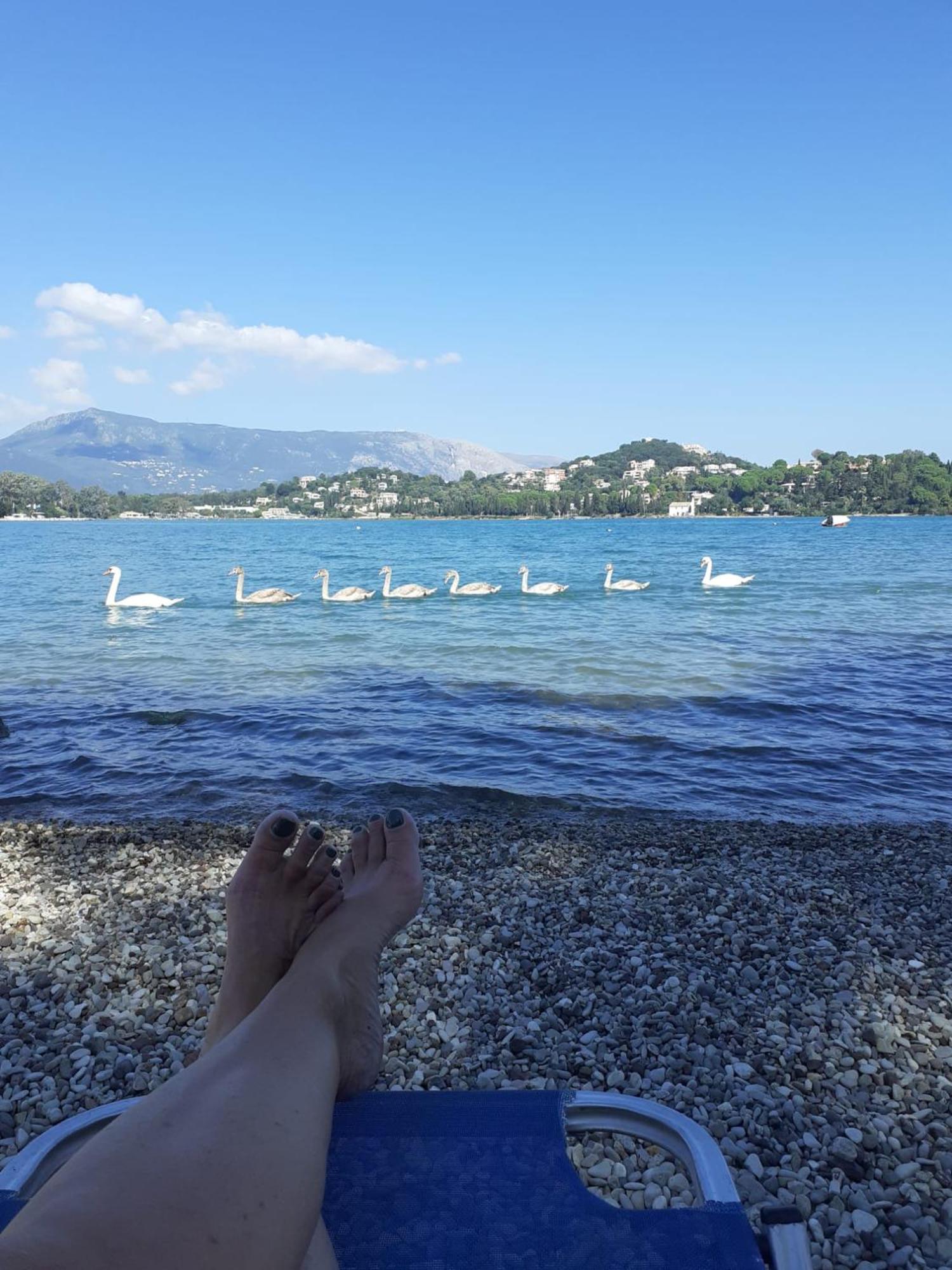 Appartement Bougainvillea Corfu  Kültér fotó